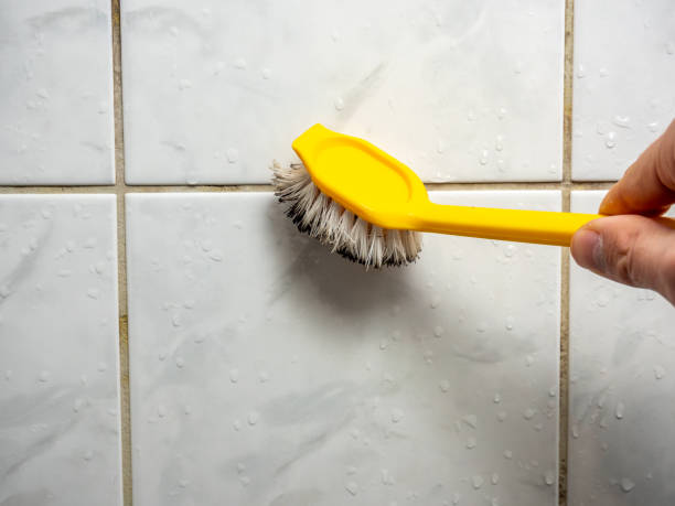 Best Mold Testing  in Charlotte, NC