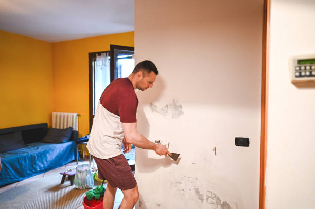 Best Mold Removal Process  in Charlotte, NC