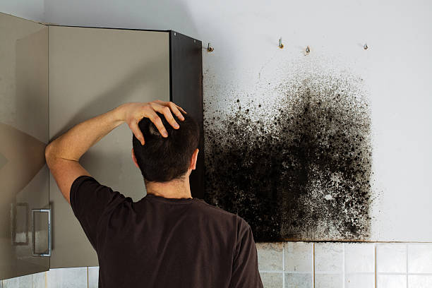 Mold Removal Process in Charlotte, NC